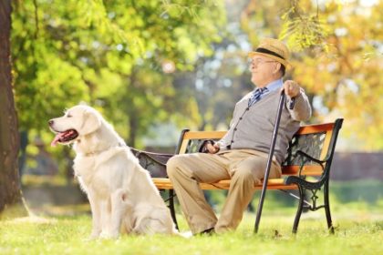 Medicare Supplements